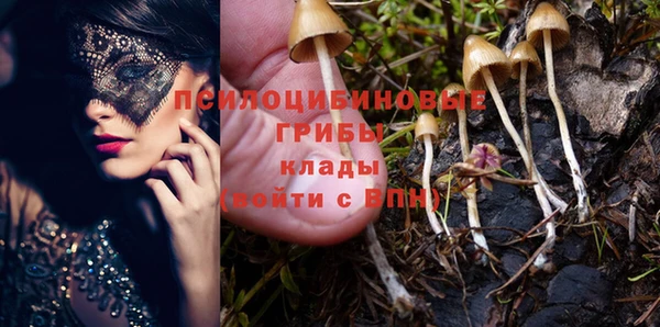 дмт Баксан